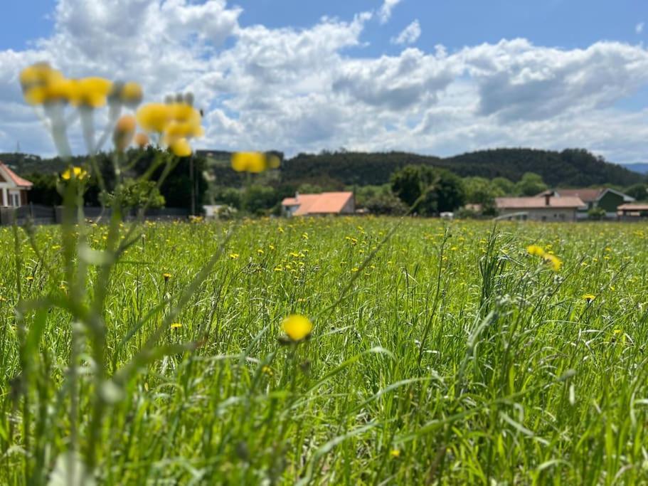 Acogedor Apartamento En Parbayon Dış mekan fotoğraf